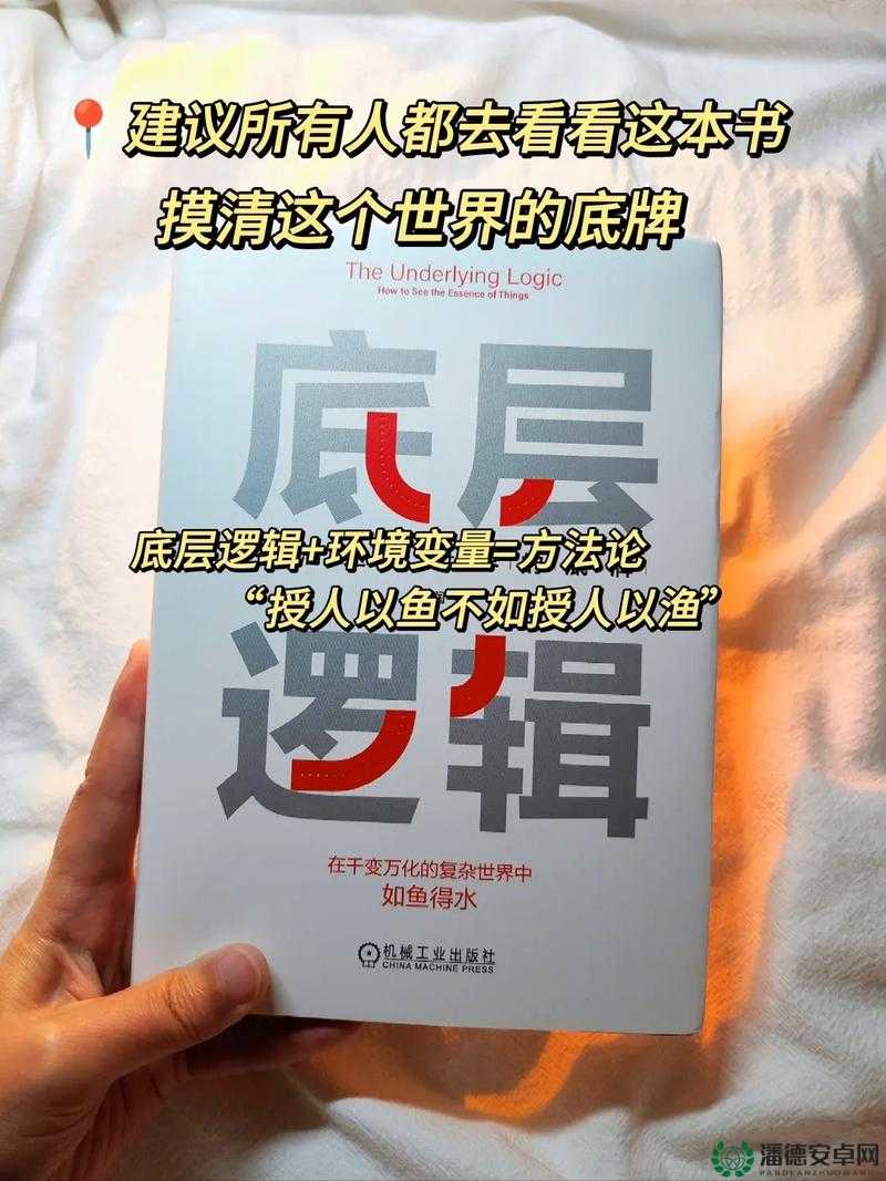 荣誉勋章联网模式究竟如何？底层逻辑与实战操作深度测评揭秘