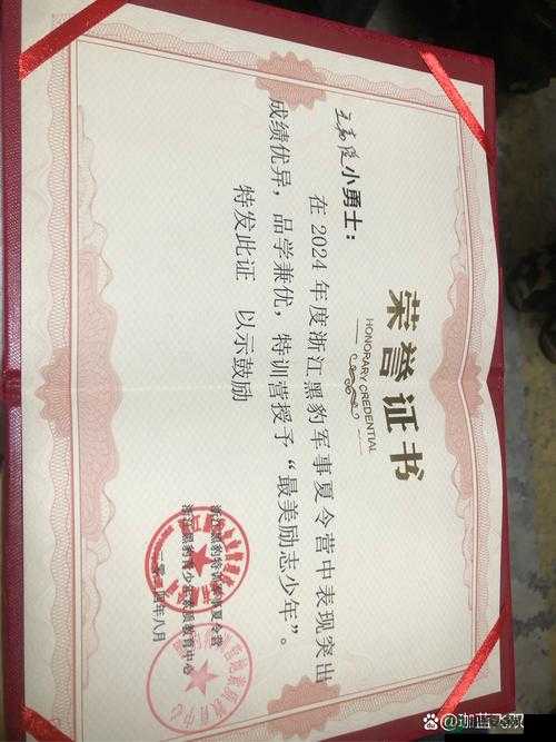 荣誉勋章初体验究竟如何？我的感想能否引发你的共鸣？