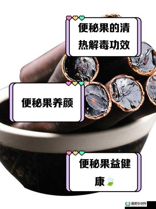 便秘果怎么吃效果最好？专家教你正确的使用方法
