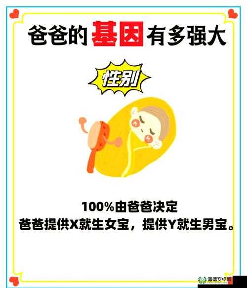 孩子是爸爸生的吗？生物学和社会学角度解读
