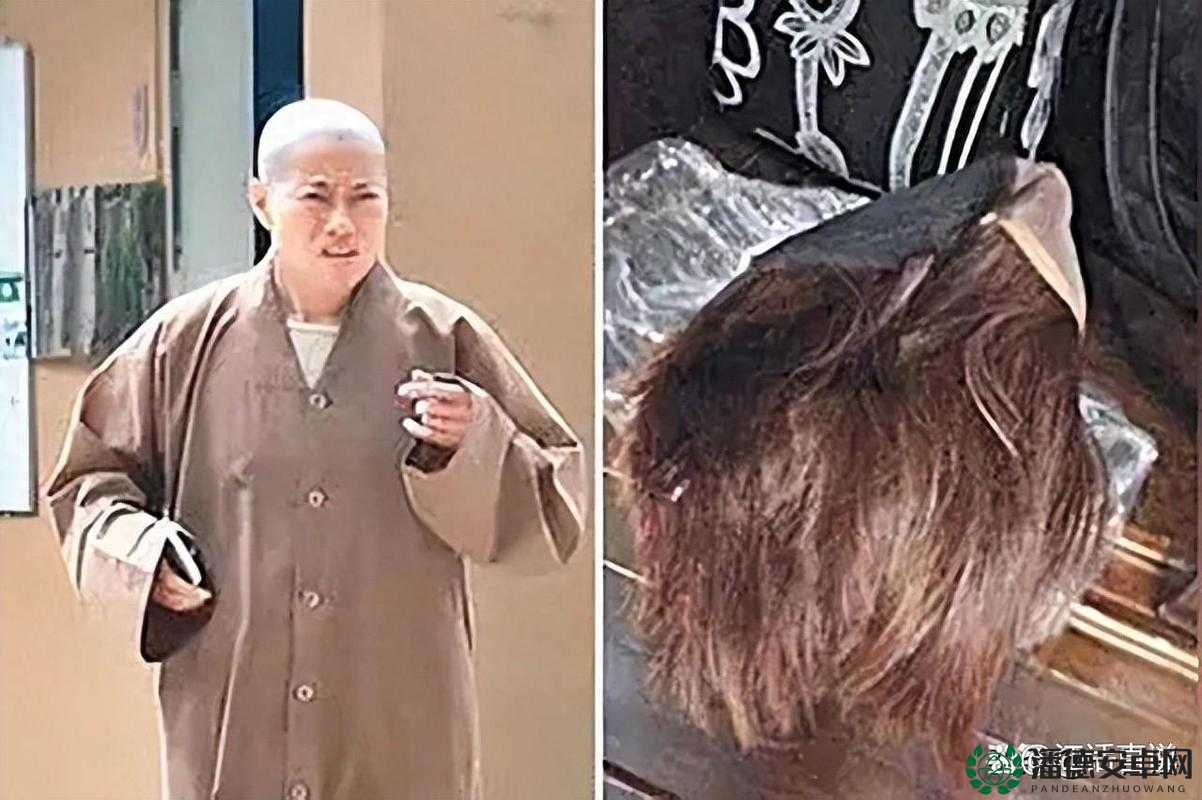 震惊尼姑怀孕了会怎么样？这背后的原因及影响究竟是什么？