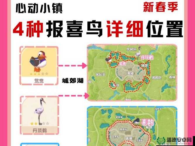 心动小镇鸟类捕捉位置在哪里？全攻略带你揭秘！