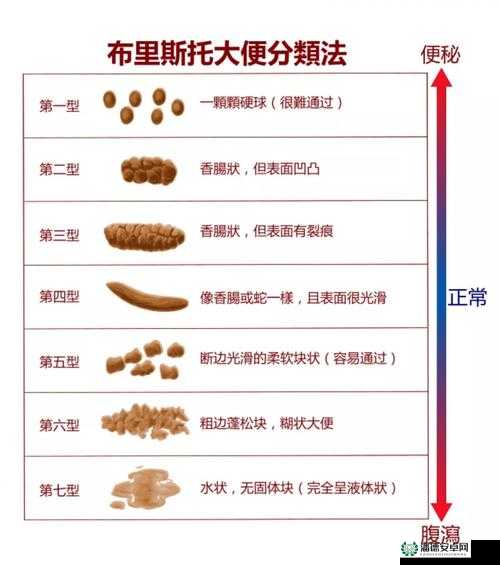 便秘时排出果冻状粘液是怎么回事？如何应对这种情况？