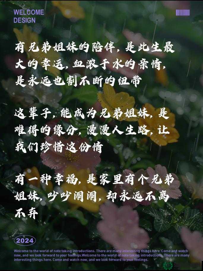 兄弟的母亲最经典的一段话，揭示了怎样的人生智慧？