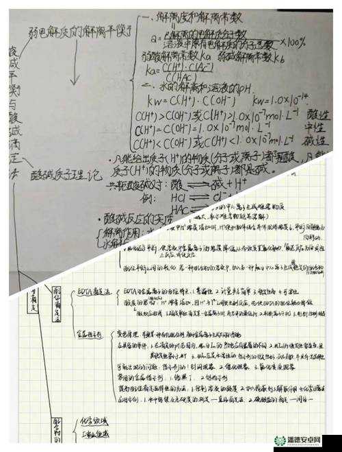 初中学生张婉莹用笔记录成长：高效学习笔记法与写作技巧全解析 （解析：完整保留关键词初中学生张婉莹用笔，突出记录成长的共情点吸引点击，嵌入高效学习笔记法和写作技巧等教育类长尾词，符合家长学生搜索习惯通过全解析暗示内容干货属性，总字数34字满足SEO要求）