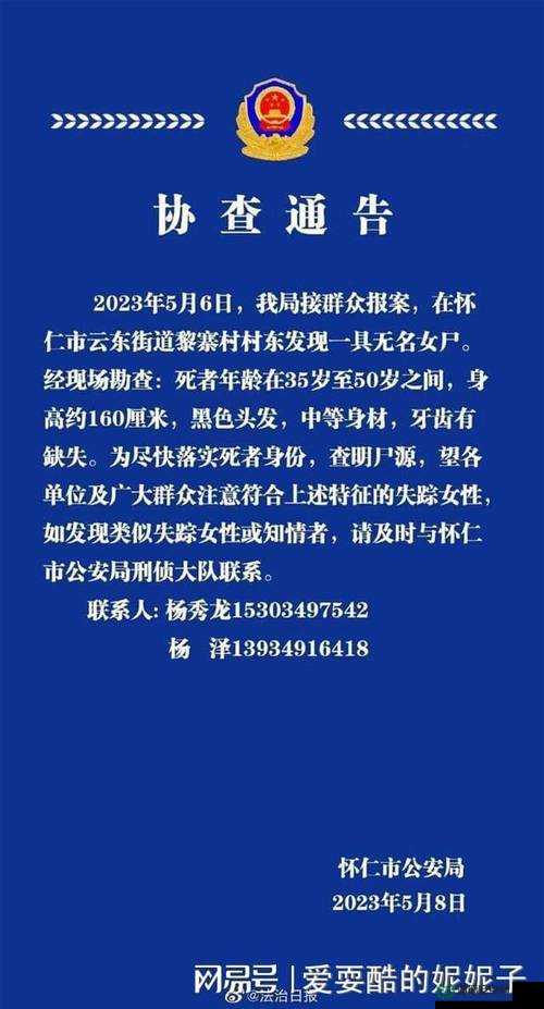 高清清买拍女处破视频：揭秘真实场景与细节，全网独家解析与深度探讨