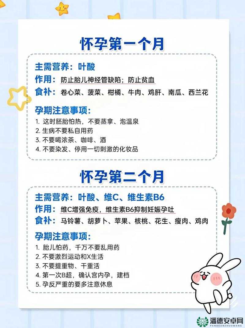 Loselife4.0怀孕版官方指南：全面解析孕期健康管理与营养补充方案