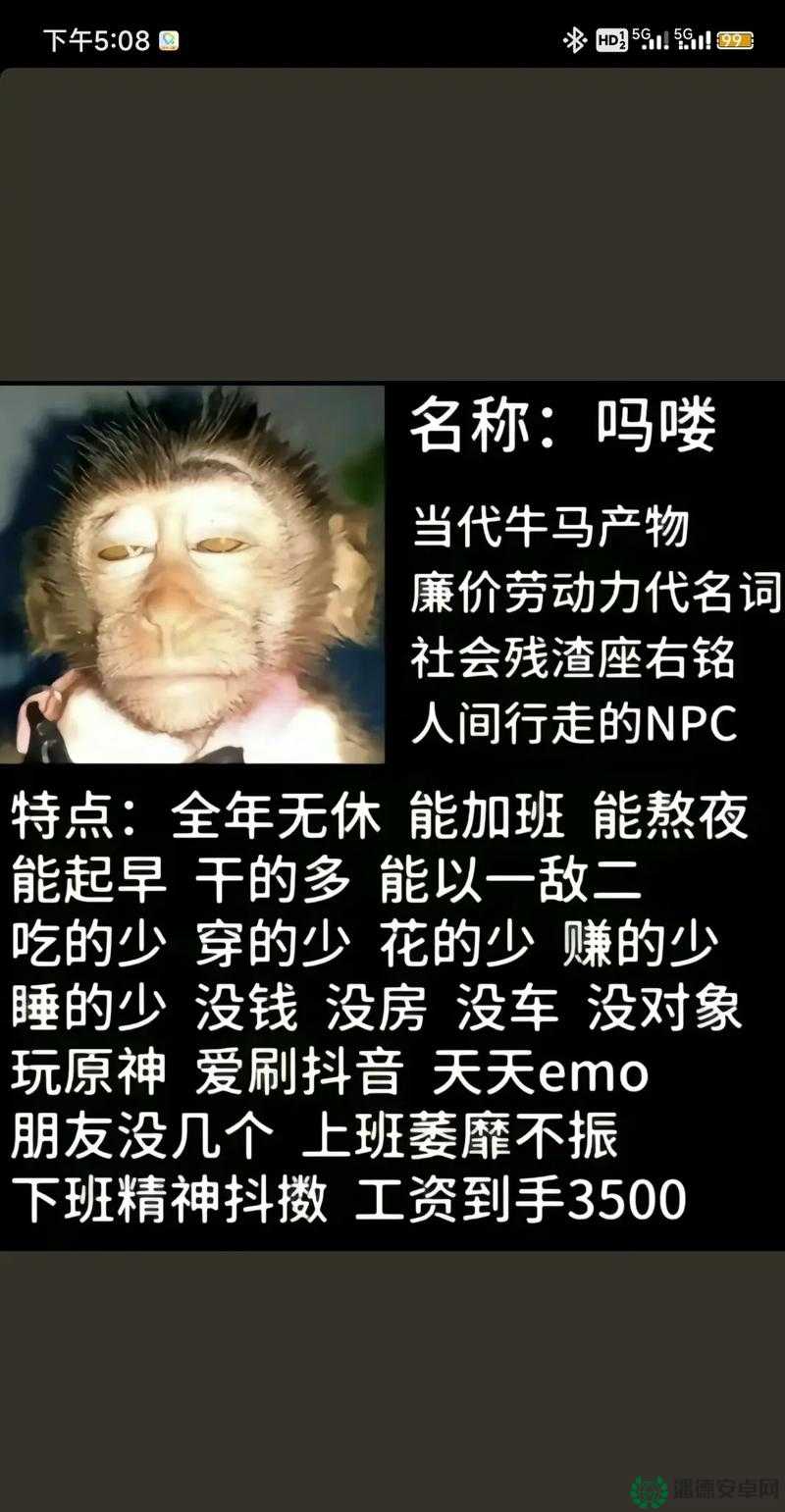 为什么 Zoom 动物人配人马如此受欢迎？它是如何做到的？