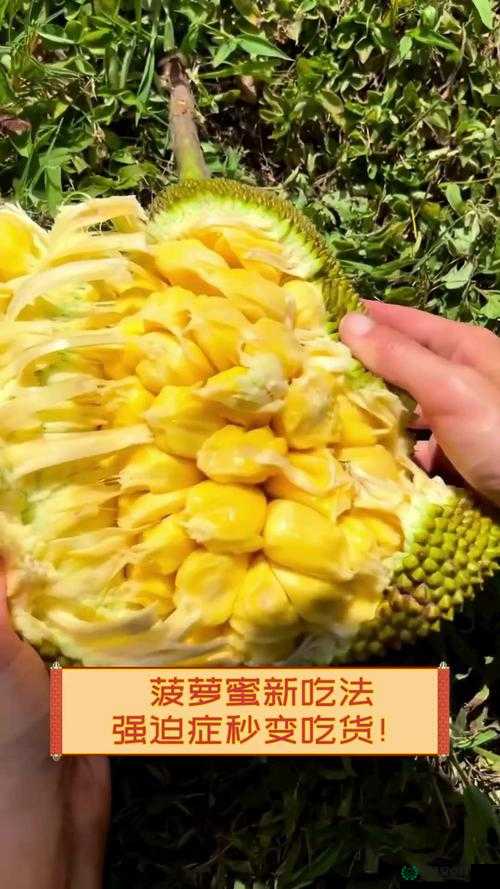 菠萝蜜怎么剥视频教程：简单易学的剥菠萝蜜技巧，轻松取出果肉不浪费