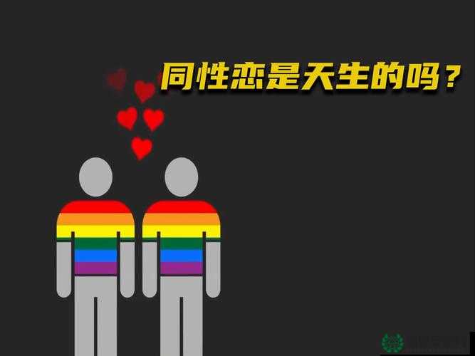 探索男男Gay同性Gay做受的情感世界：深度解析现代关系中的角色与认同