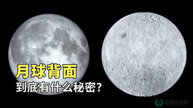 91p65.cm是什么？为何它引起大家关注？其背后隐藏着怎样的秘密？