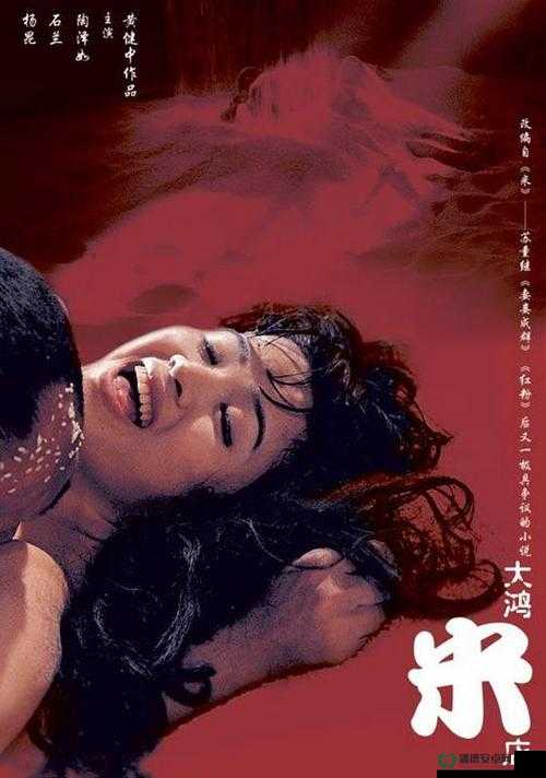 探讨国产性暴力A片的社会影响与法律边界：如何正确看待与防范此类现象？
