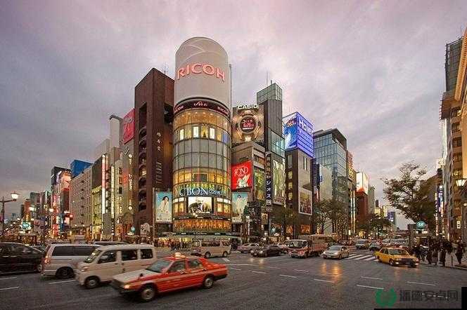 久久精品东京热：探索东京热门景点与美食的深度旅行指南