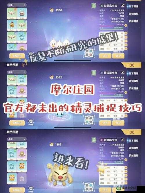 摩尔庄园手游12月22日神奇密码兑换，背后隐藏着什么惊喜福利？