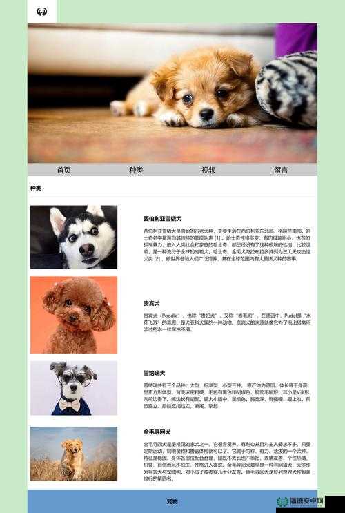 网页版入口：doubao.com相关问题：doubao.com 是什么网站？有什么功能？