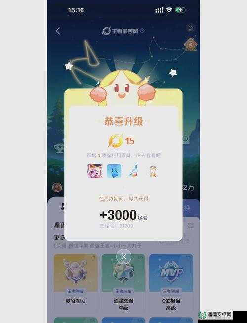王者荣耀星会员等级如何查看？全面攻略助你轻松解锁福利！