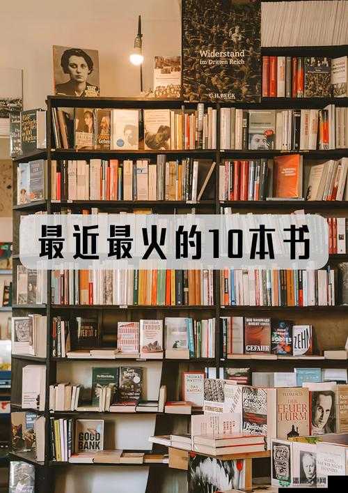 美梦大全免费观看：探索梦境世界，解锁心灵深处的秘密与启示