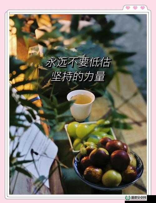 被屏蔽后如何找到最聪明的解决办法？探寻突破屏蔽困境的最佳途径被屏蔽时怎样才是最聪明的应对之策？揭开解开屏蔽谜团的关键方法面对屏蔽，怎样才是最聪明的应对之道？探索摆脱屏蔽束缚的最优策略