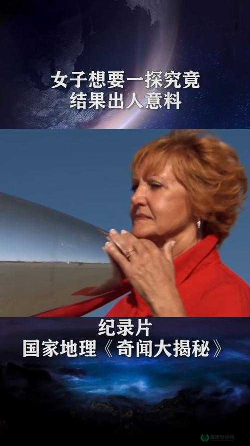 大地资源网相关内容大揭秘：第 3 页究竟有何独特之处？快来一探究竟