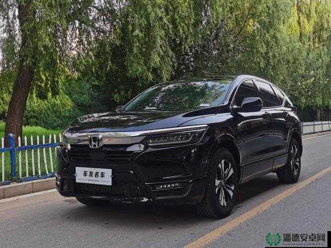 皓影锐T动黑色款是否值得购买？全面解析黑色皓影锐T动的性能与外观