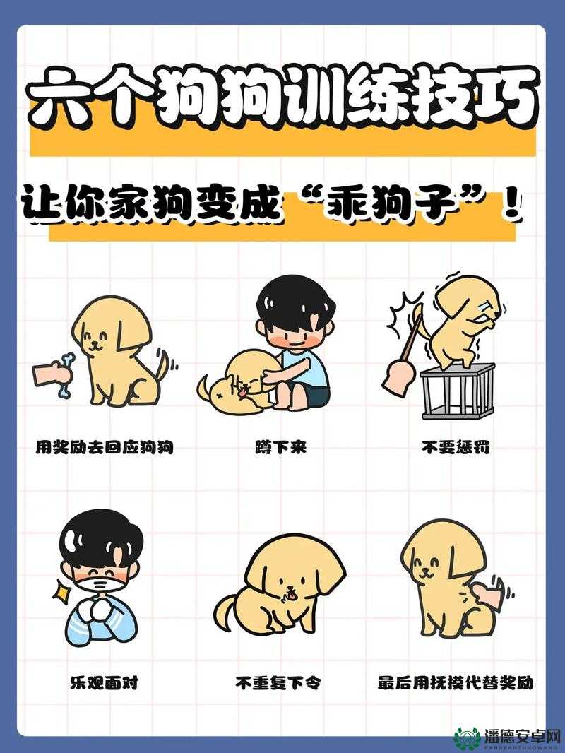 抖S狗狗要乖乖听主人的话：如何训练宠物狗成为忠诚的伴侣？