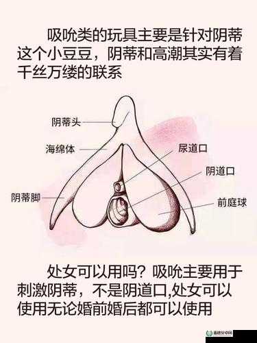 女性自慰方法有哪些？全面解析女性自慰的技巧与注意事项