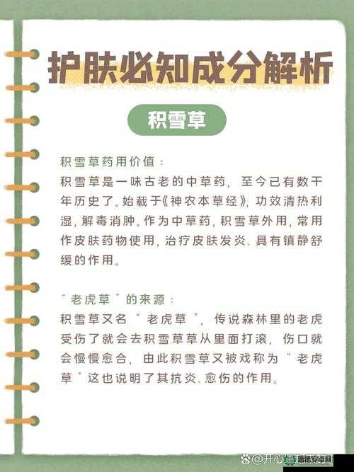 积积桶肤肤的大全 2023 究竟包含哪些内容？快来一探究竟