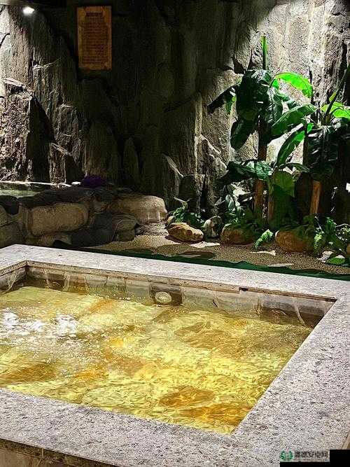 提问：洗浴会所有哪些特色服务和设施？带你了解洗浴会所的一切
