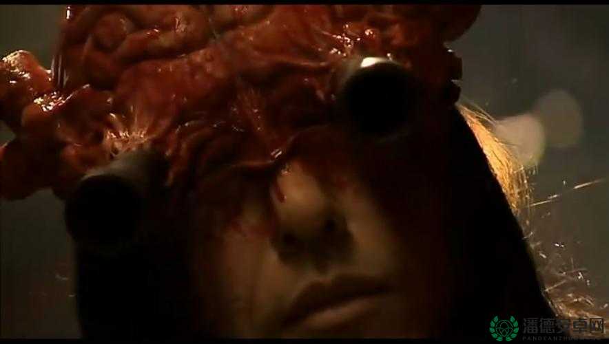 探索网络历史：最早的gore血腥网站是什么？揭秘互联网黑暗角落的起源