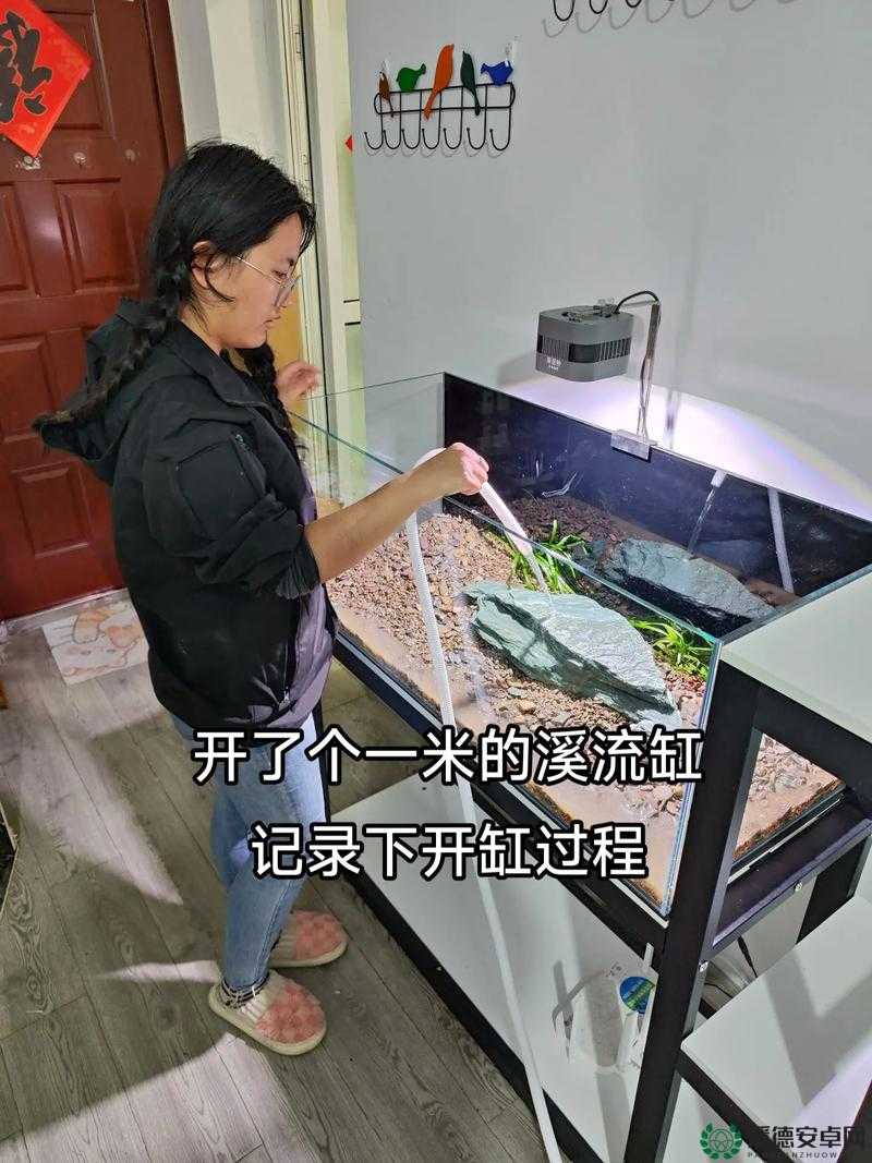 女生开缸是什么样子？揭秘女生养鱼爱好者的独特开缸技巧与心得分享