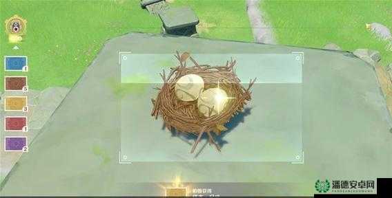 原神雕琢童心任务中，第三个动物行为拍摄位置究竟隐藏在哪里？演变史揭秘！