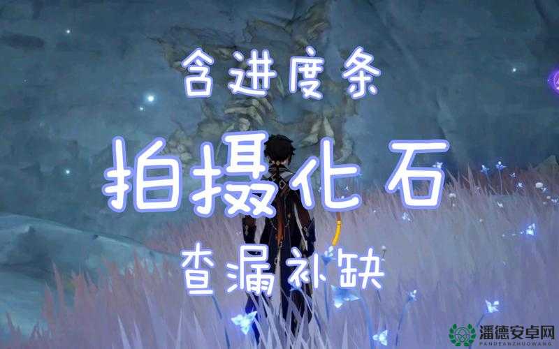 原神古代生物调查，化石照片究竟隐藏在哪些神秘位置？