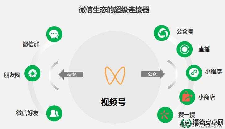 黑色沙漠手游6月24日微信每日一题答案究竟是什么？深度攻略揭秘！