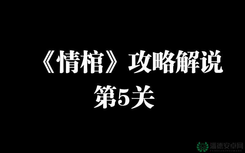 情棺第五章如何巧妙破解难关，通关秘籍大揭秘？