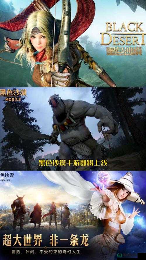 如何在黑色沙漠手游中完成宠物熊猫任务，轻松将萌宠带回家？
