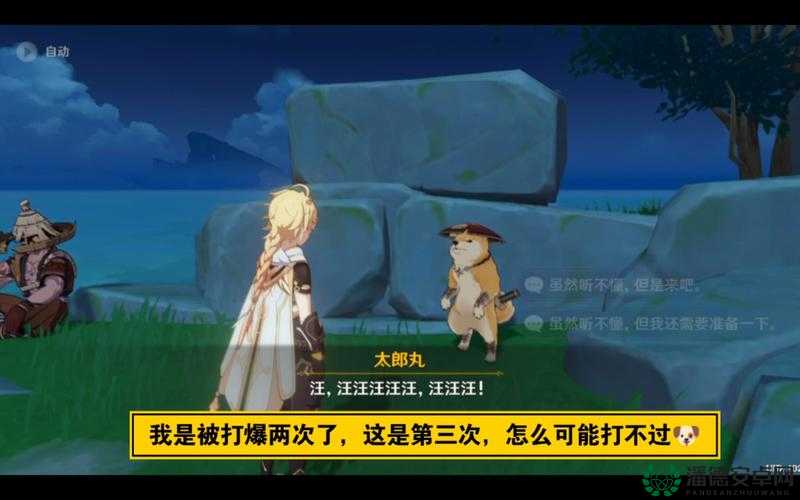 原神孤剑争逐第四天，如何巧妙击败太郎丸赢得胜利？