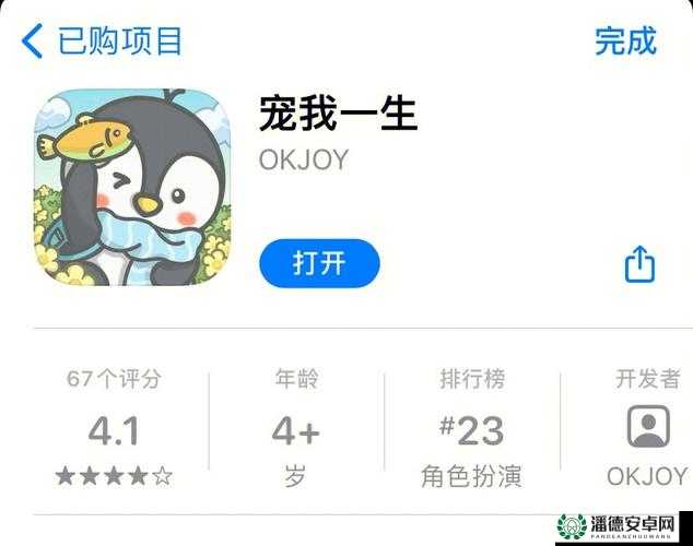 如何在宠我一生游戏中快速提升岁数？揭秘高效升级方法！
