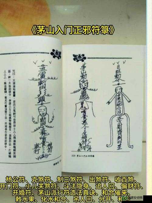 修仙家族模拟器炼符玩法大揭秘，如何解锁并掌控修仙世界的符箓奥秘？