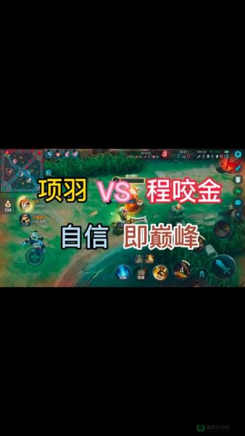 王者荣耀程咬金、项羽、狄仁杰3V3如何配合制胜？实战攻略揭秘！