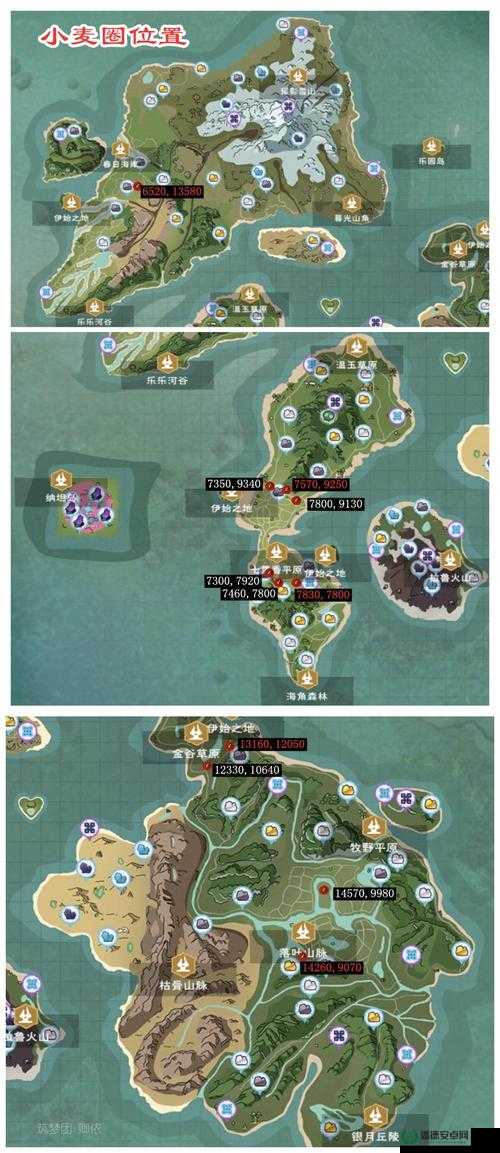 如何在创造与魔法中高效捕捉宠物？详细流程与技巧全解析